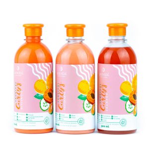 Kit Crespos Perfecto | Tropical Curly's